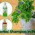 6 Best Herbal Shampoo in Pakistan-Price in Pakistan