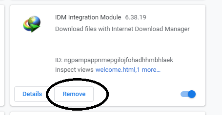 IDM Extension in Chrome-pip