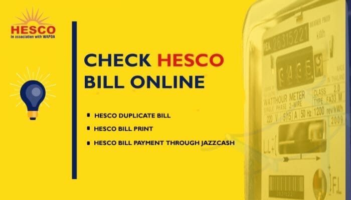 HESCO Bill Online-PIP