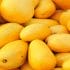 Pakistan is Producing Sugar-Free Mangoes for Diabetics-pip