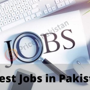 Top 8 Highest Payed Jobs in Pakistan-pip