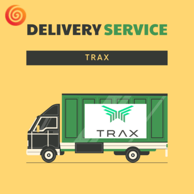 Courier Services in Pakistan-pip